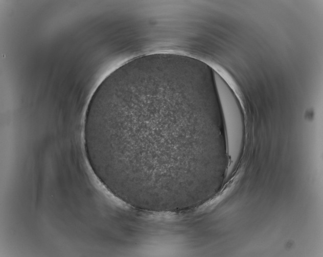 X0000094440957200711151401