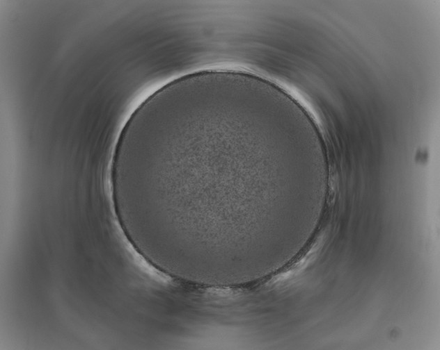 X0000094440959200711151401