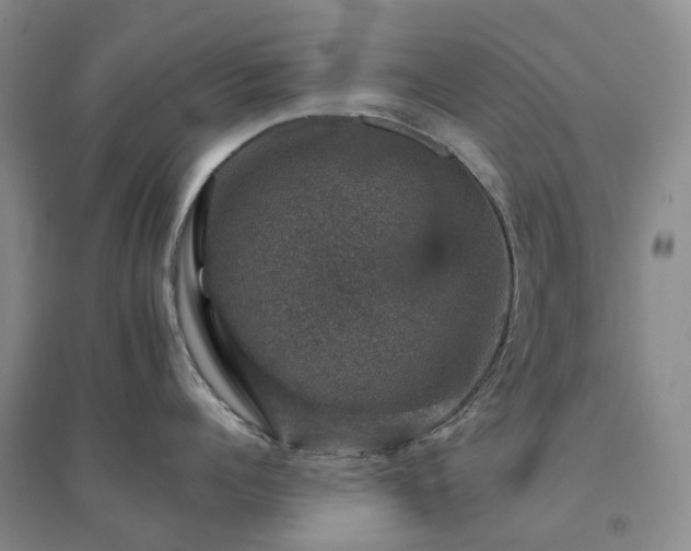 X0000094440960200711151401
