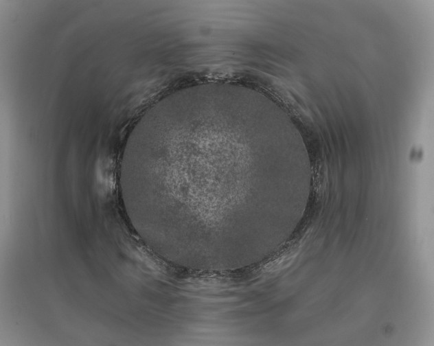 X0000094440962200711151401