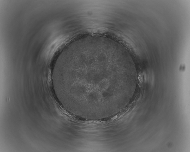 X0000094440963200711151401