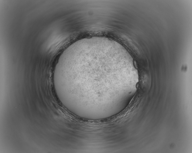 X0000094440964200711151401