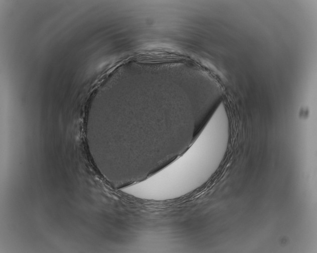 X0000094440965200711151401