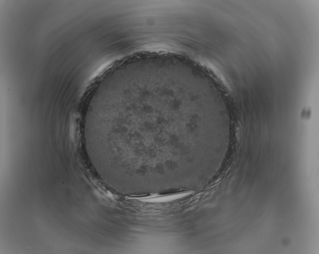 X0000094440968200711151401