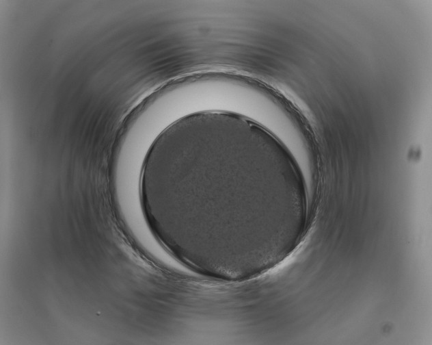 X0000094440969200711151401