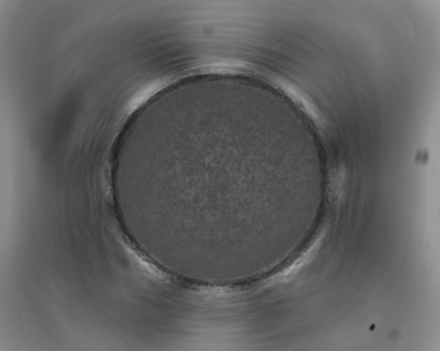 X0000094440970200711151401