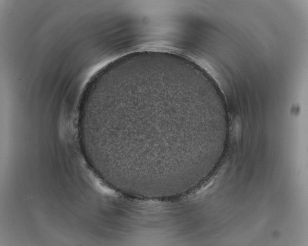 X0000094440971200711151401