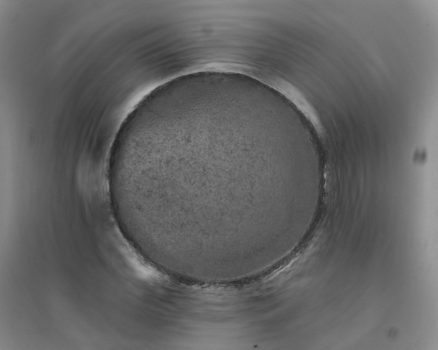 X0000094440972200711151401