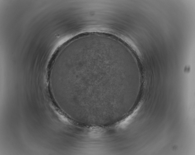 X0000094440974200711151400
