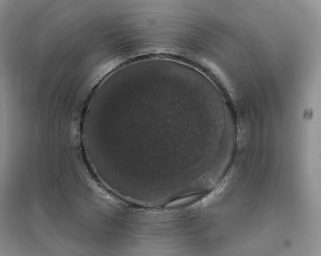 X0000094440977200711151400