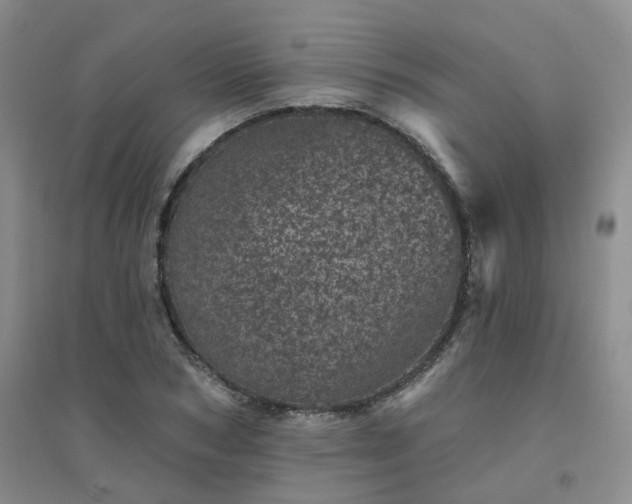 X0000094440978200711151400
