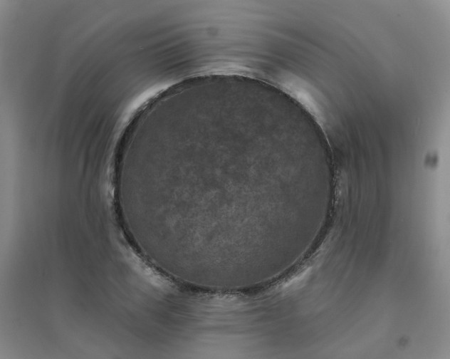 X0000094440979200711151400