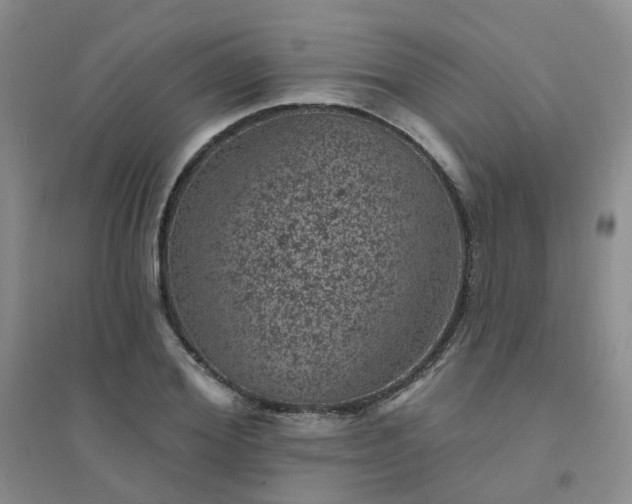 X0000094440980200711151400