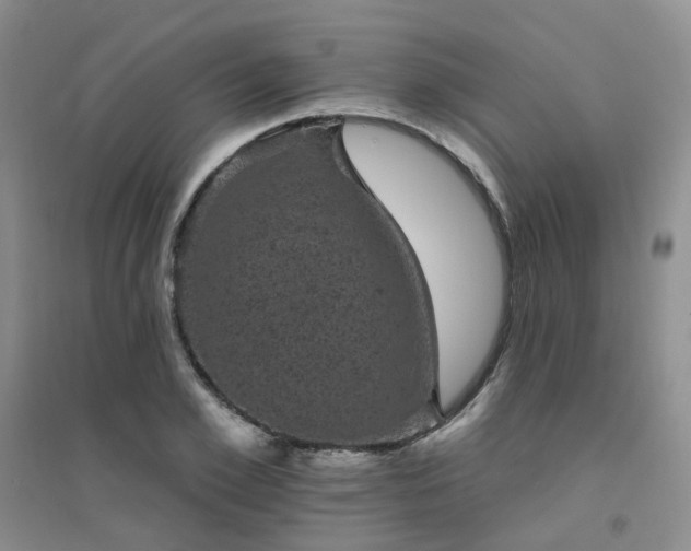 X0000094440981200711151400