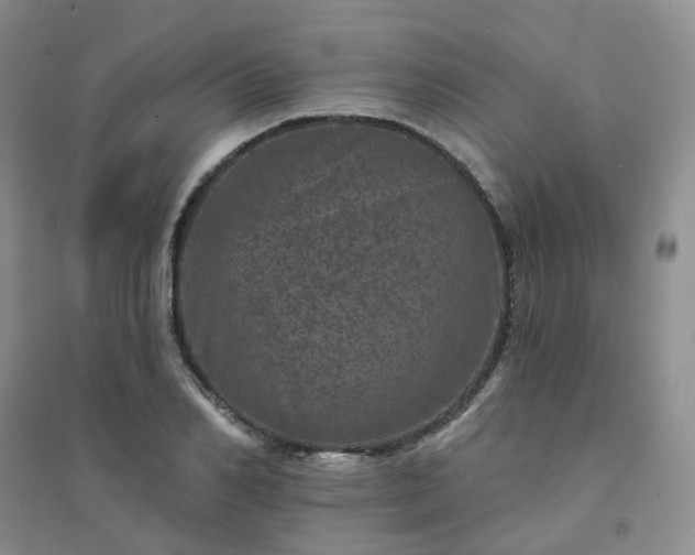 X0000094440982200711151400