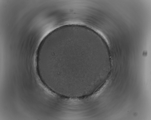 X0000094440983200711151400