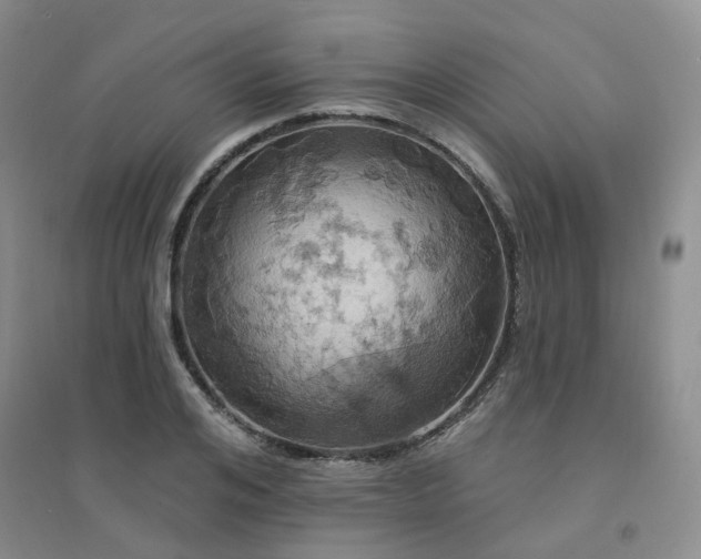 X0000094440984200711151400
