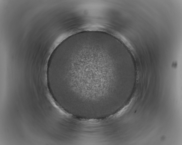 X0000094440986200711151400