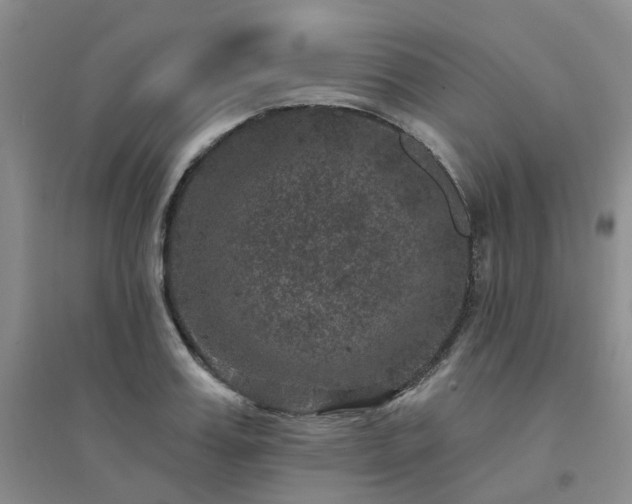X0000094440987200711151400