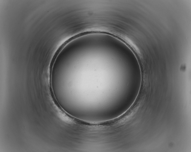 X0000094440988200711151400
