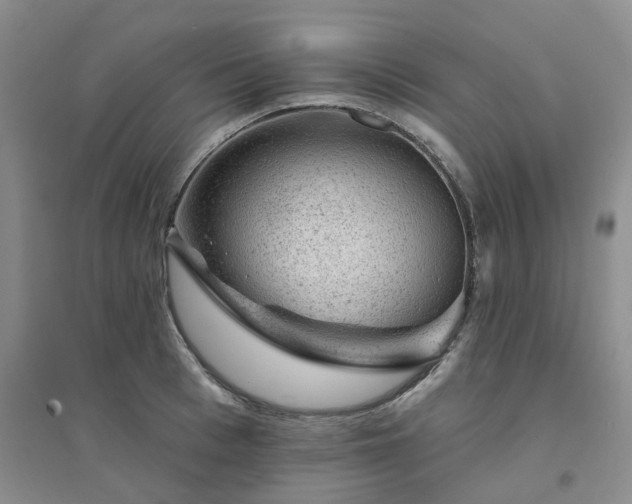 X0000094440993200711151400