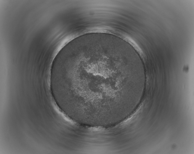 X0000094440994200711151400
