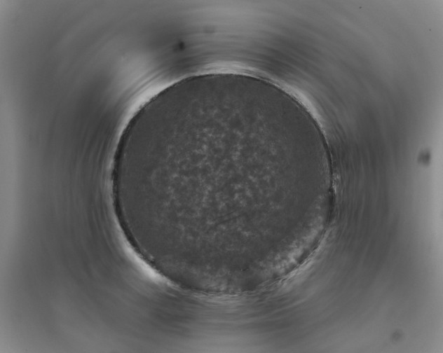 X0000094440995200711151400
