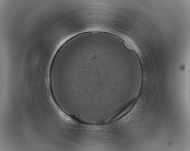 X0000094440996200711151400