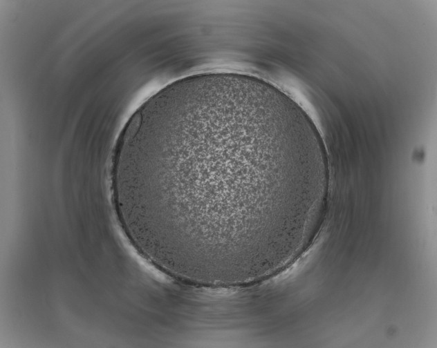 X0000094440997200711151400