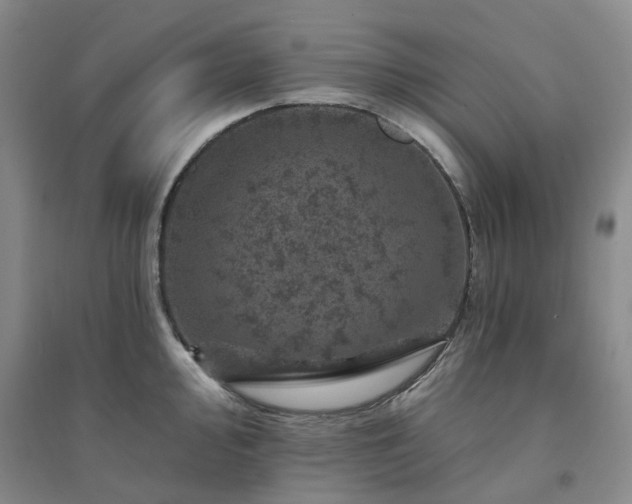 X0000094441000200711151400