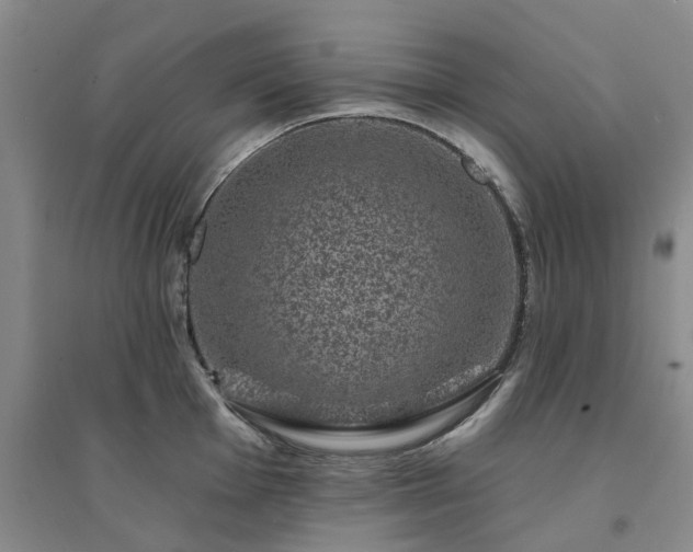 X0000094441001200711151400