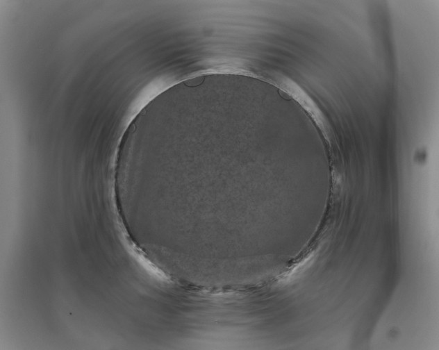 X0000094441002200711151400