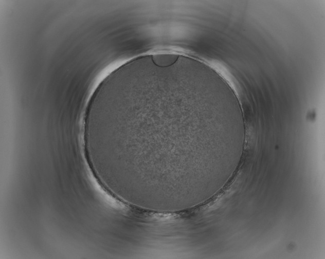 X0000094441003200711151400