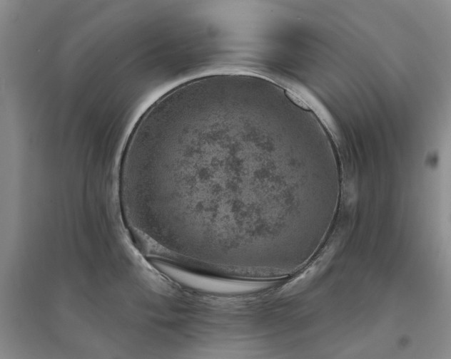 X0000094441004200711151400