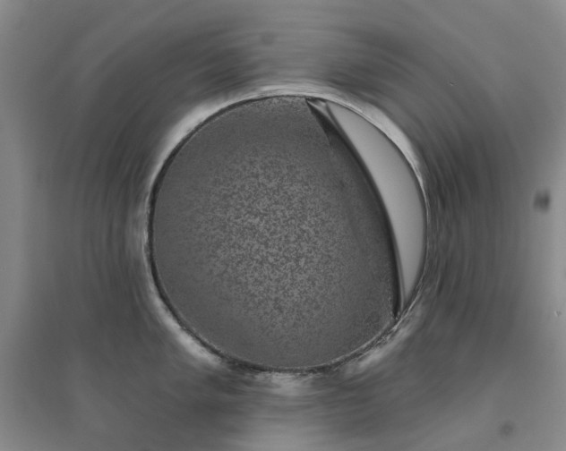 X0000094441005200711151400