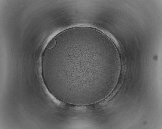 X0000094441006200711151400