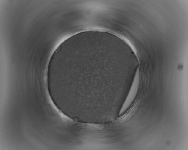 X0000094441007200711151400