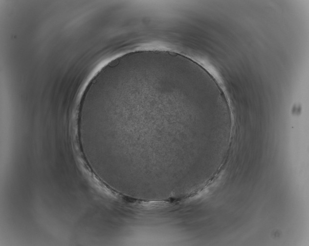 X0000094441008200711151400