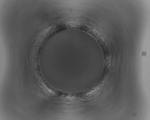 X0000094441009200711151359