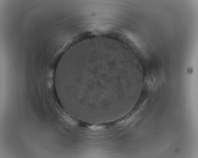X0000094441012200711151359