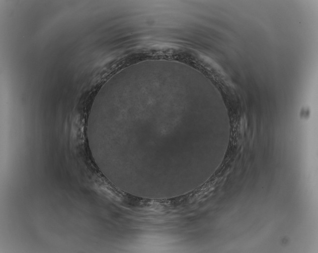 X0000094441013200711151359