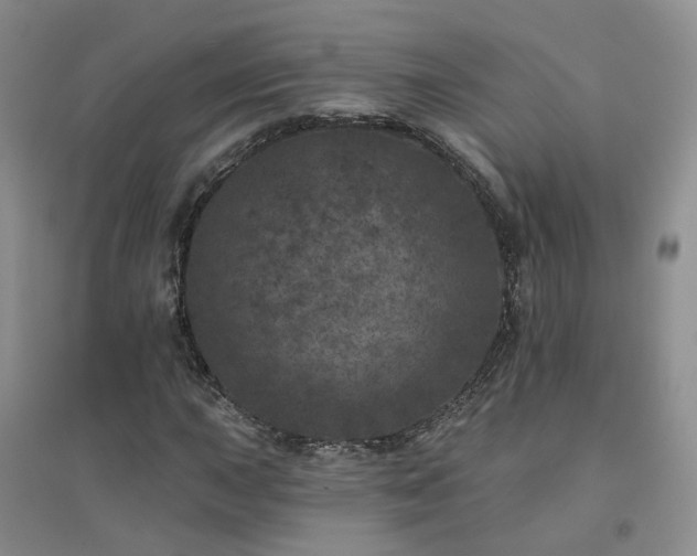 X0000094441015200711151359