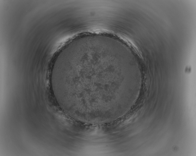 X0000094441016200711151359