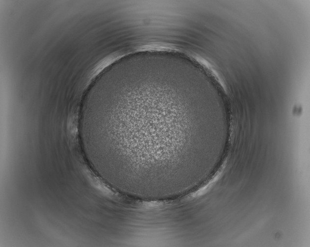 X0000094441017200711151359