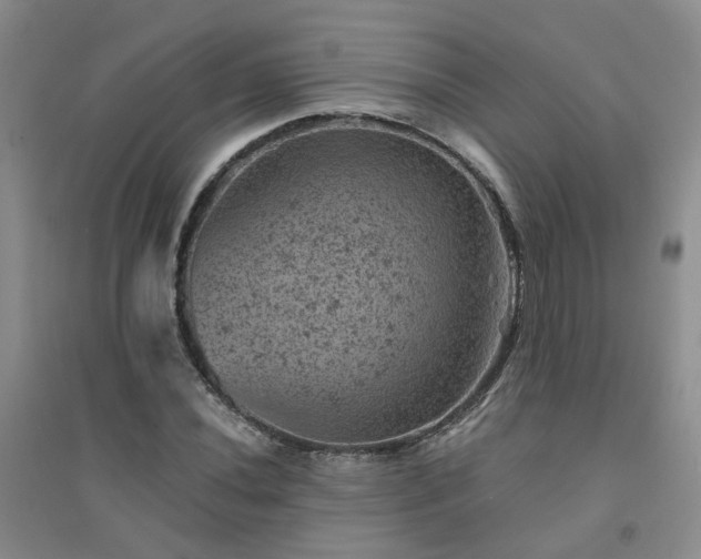 X0000094441020200711151359