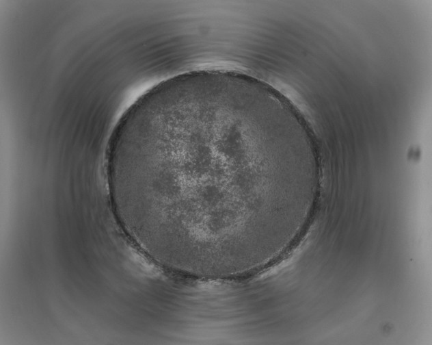 X0000094441022200711151400