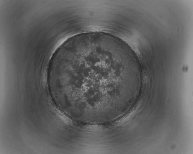 X0000094441023200711151400
