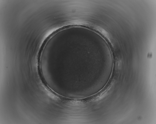 X0000094441024200711151400