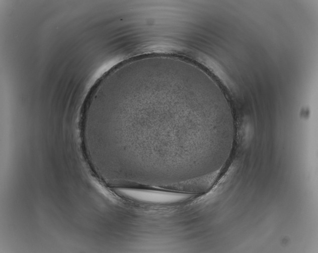 X0000094441026200711151400