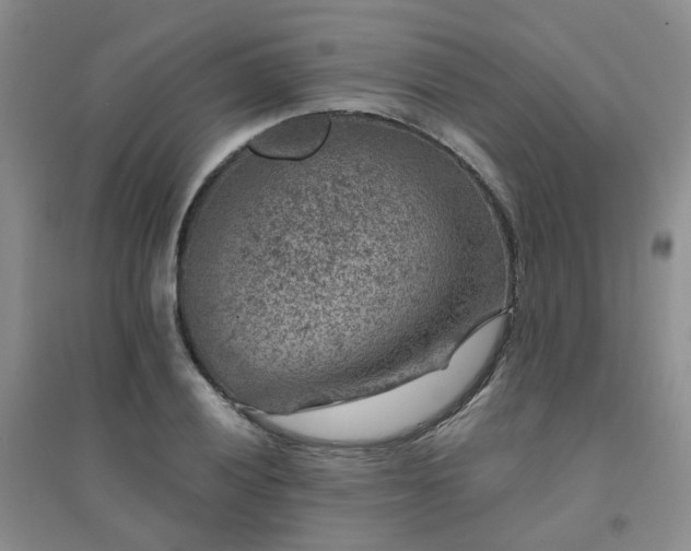 X0000094441028200711151400